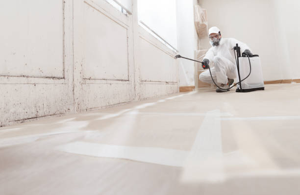 24/7 Emergency Mold Remediation experts in North Lynnwood, WA