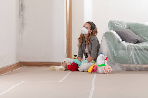 Reliable Mold Remediation contractor in North Lynnwood, WA by 24 Hour Mold Removal